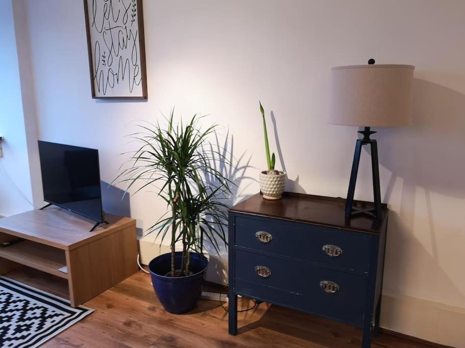 2 Bed Flat, Bounds Green, Piccadilly Line, London N11 Eksteriør billede